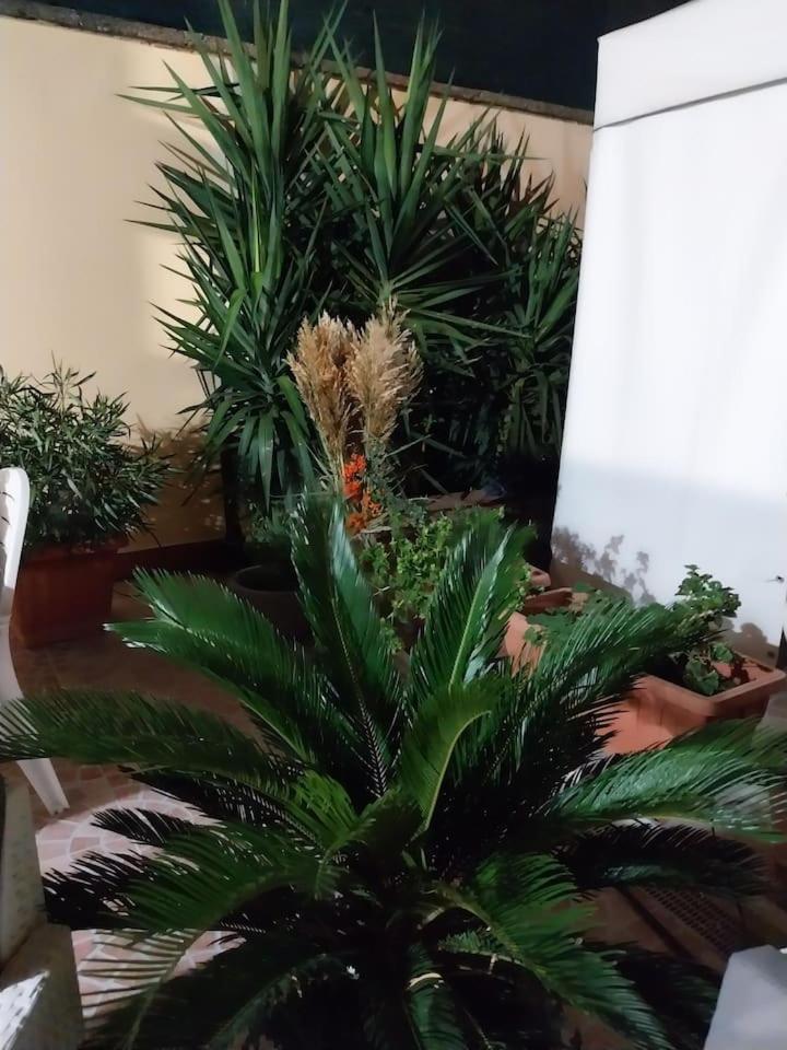 Il Giardino Di Marimar Lejlighed *