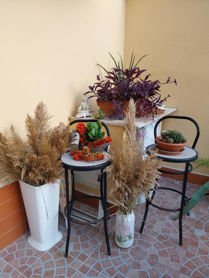 Il Giardino Di Marimar Rom